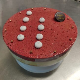 Le Panna-Cotta/Fruits Rouges